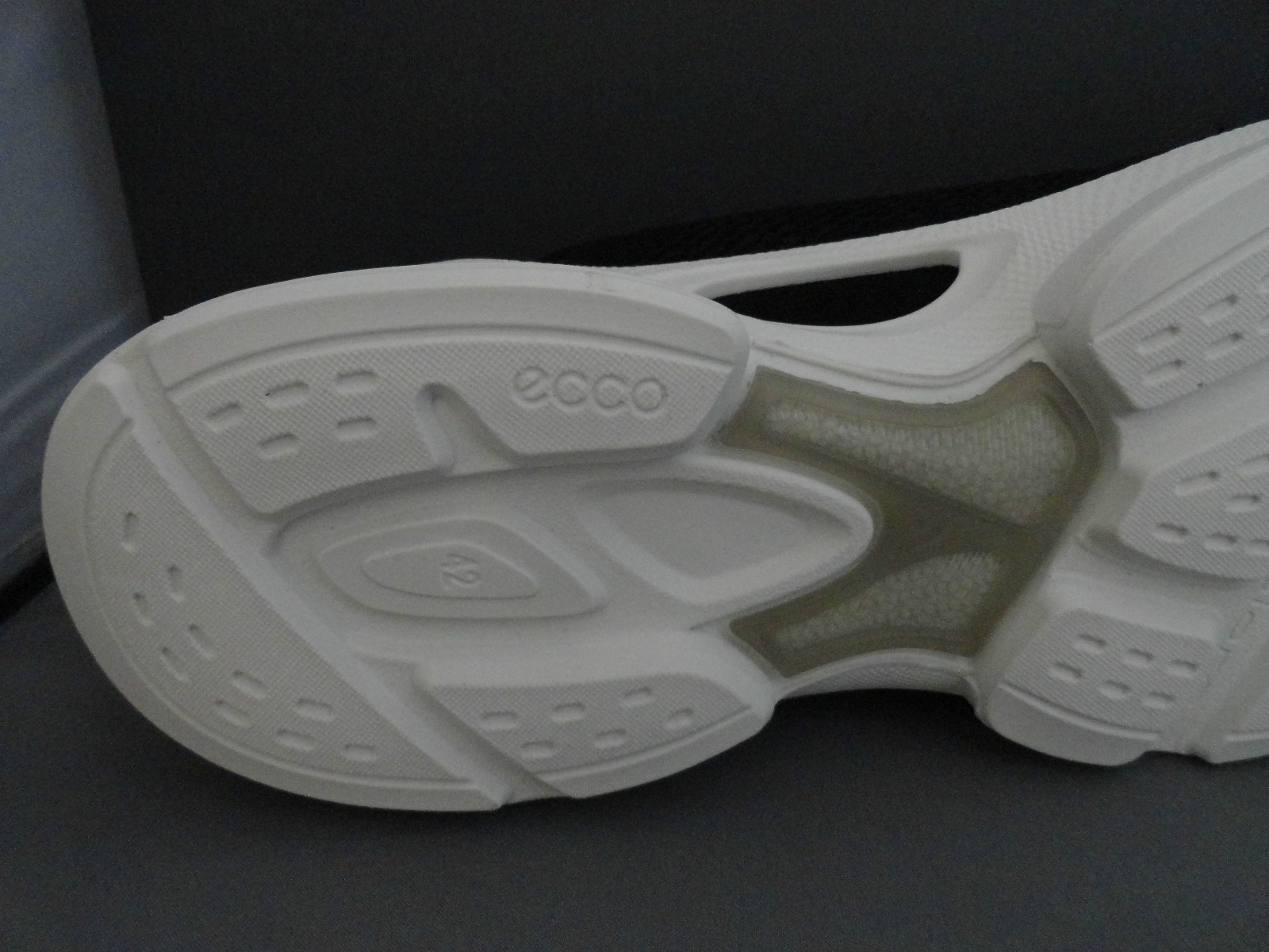 ecco biom evo racer