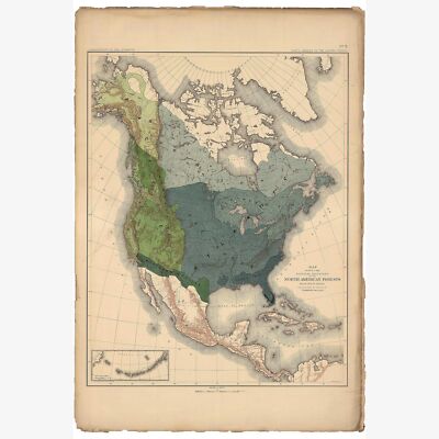 Natural Divisions of the North American Forests Charles S. Sargeant - Bien, 1884