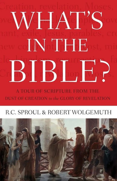 The What's In The Bible R. C. Sproul (U. A.) Taschenbuch Kartoniert / Broschiert-image