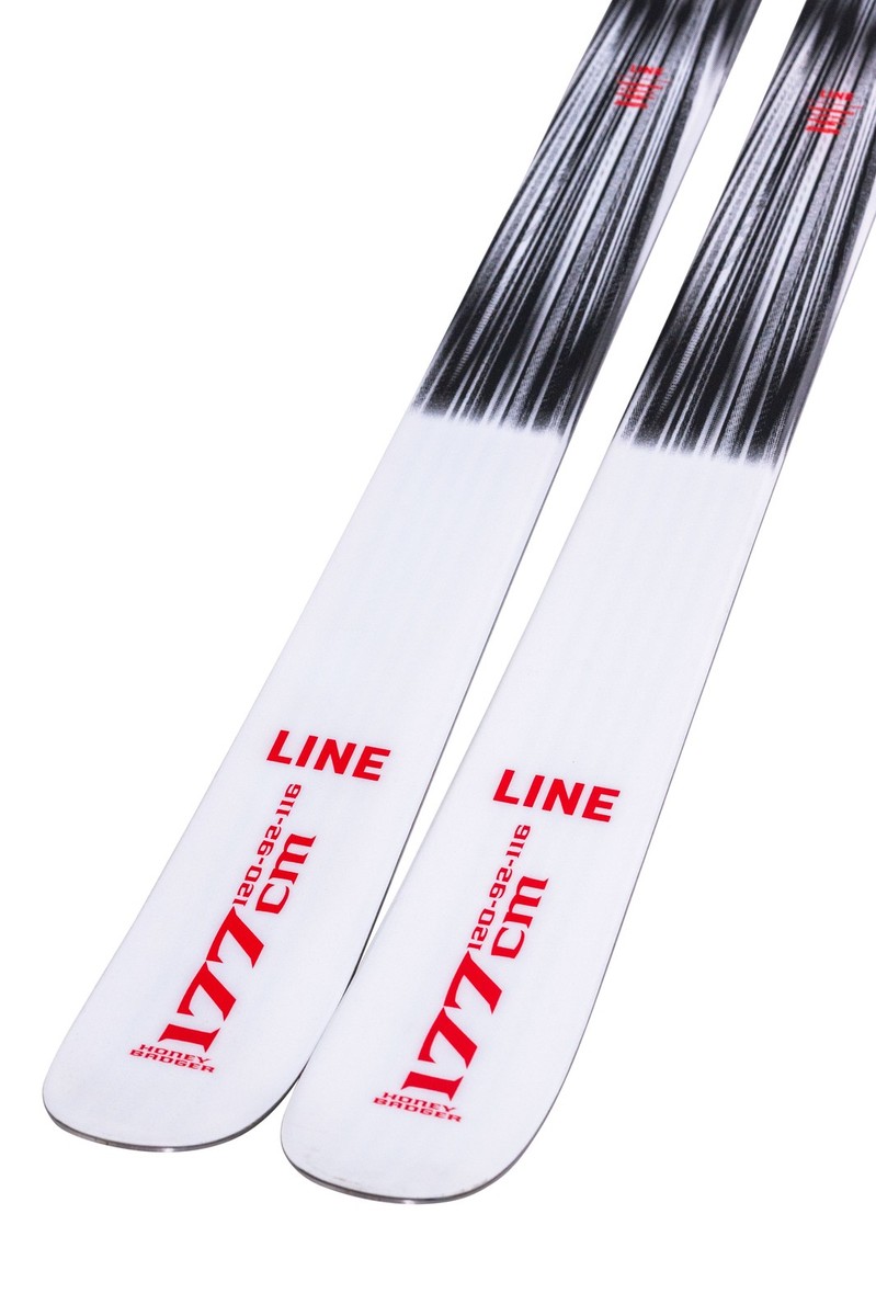 LINE HONEY BADGER 155cm ビンディング TYROLIA ◇ Line Honey Badger