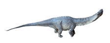 Papo Apatosaurus Dinosaur Prehistoric Movable Jaw 16" Figure Model 55039 2015