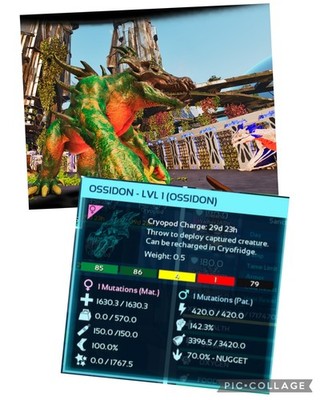 ark survival pve official LEVEL 1 FEMALE OSSIDON ONLY