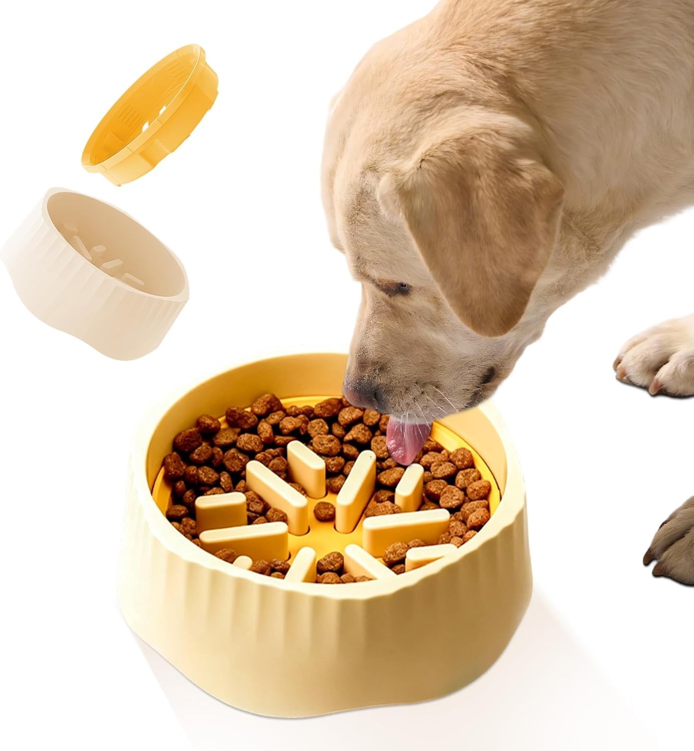 Feeding Bowl