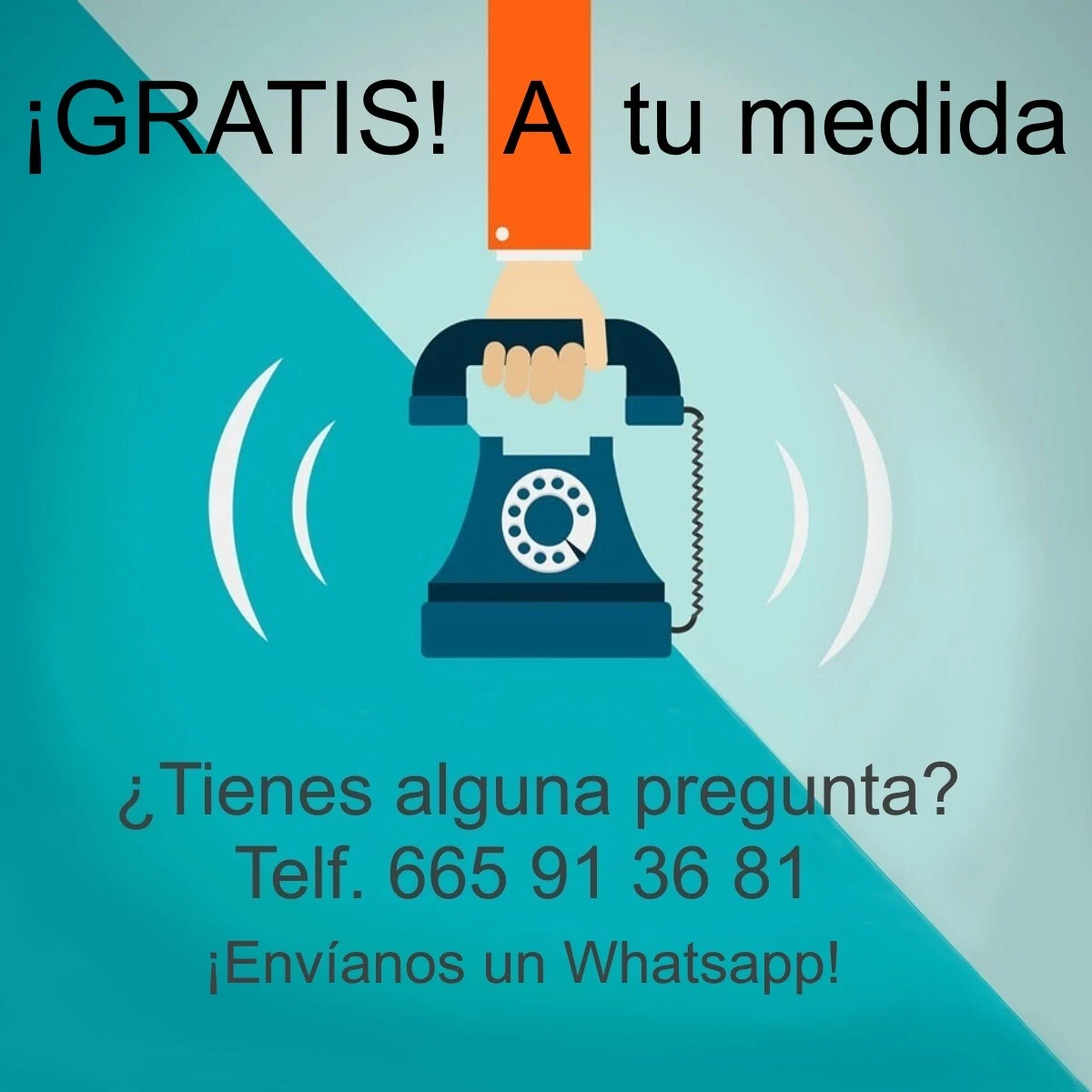Imagen 11 de 67