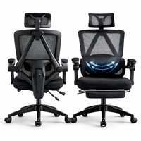 Executive Office Chair - Mesh Back Lumbar Support with Adjustable Headrest