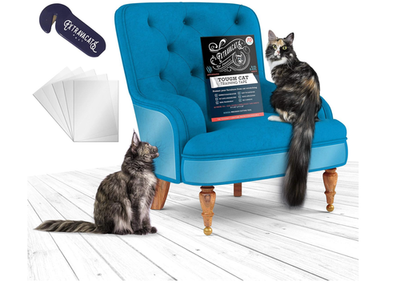 #ad Anti Cat Scratch Furniture Protector 10 Pack Couch Protector from Cat Claws $15.94