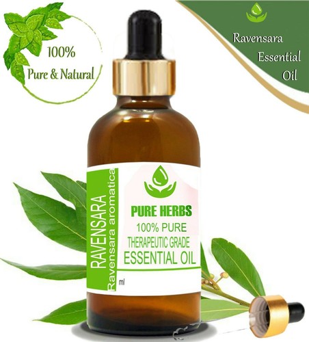 Pure Herbs Ravensara 100% Pure & Natural ravensara aromatica Essential Oils JR4 - 第 5/11 張圖片