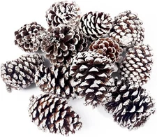 JOHOUSE 12PCS Large Snow Pine Cones Christmas Tree Wreath Ornaments Bowl Fillers