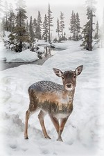 Hoffman Call Of The Wild Snowy Woods Deer Fawn Cotton Quilt Panel 29" x 43"