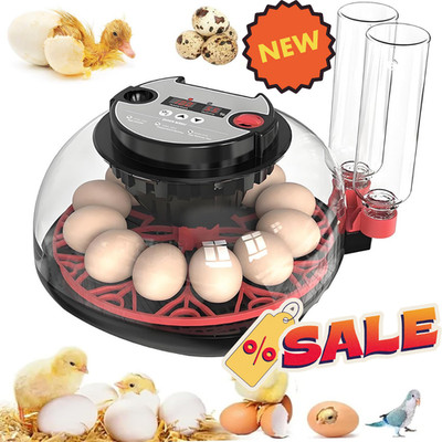 12 Egg Incubator with Auto Turning & Humidity Control Candler 360° View