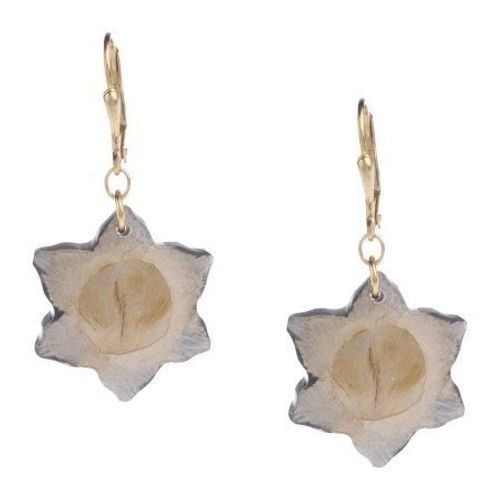 QVC Lee Sands Goldtone Acacia Flower Inlay Lever Back Earrings