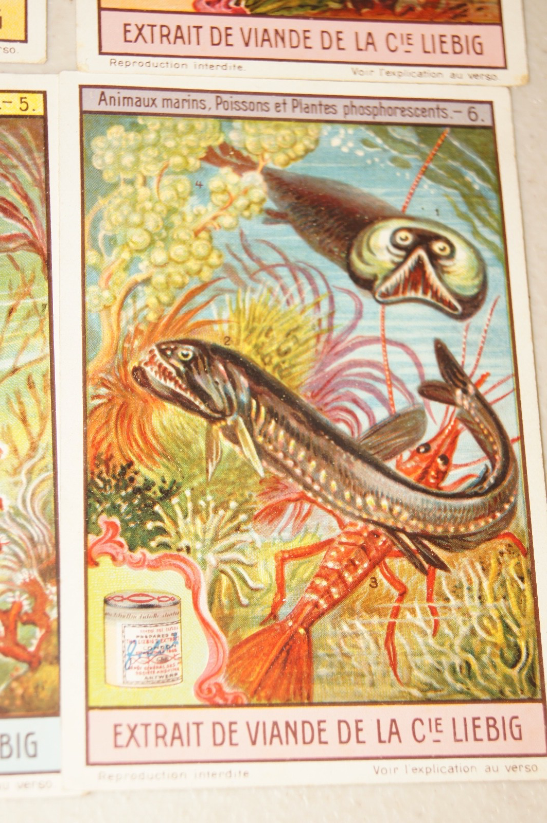 Picture 8 of 15