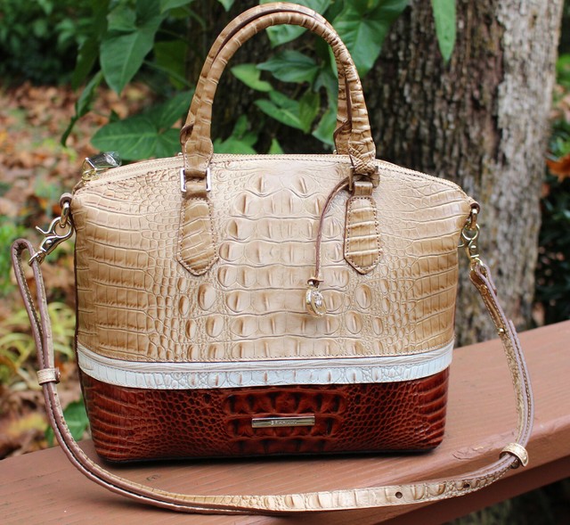 brahmin bag