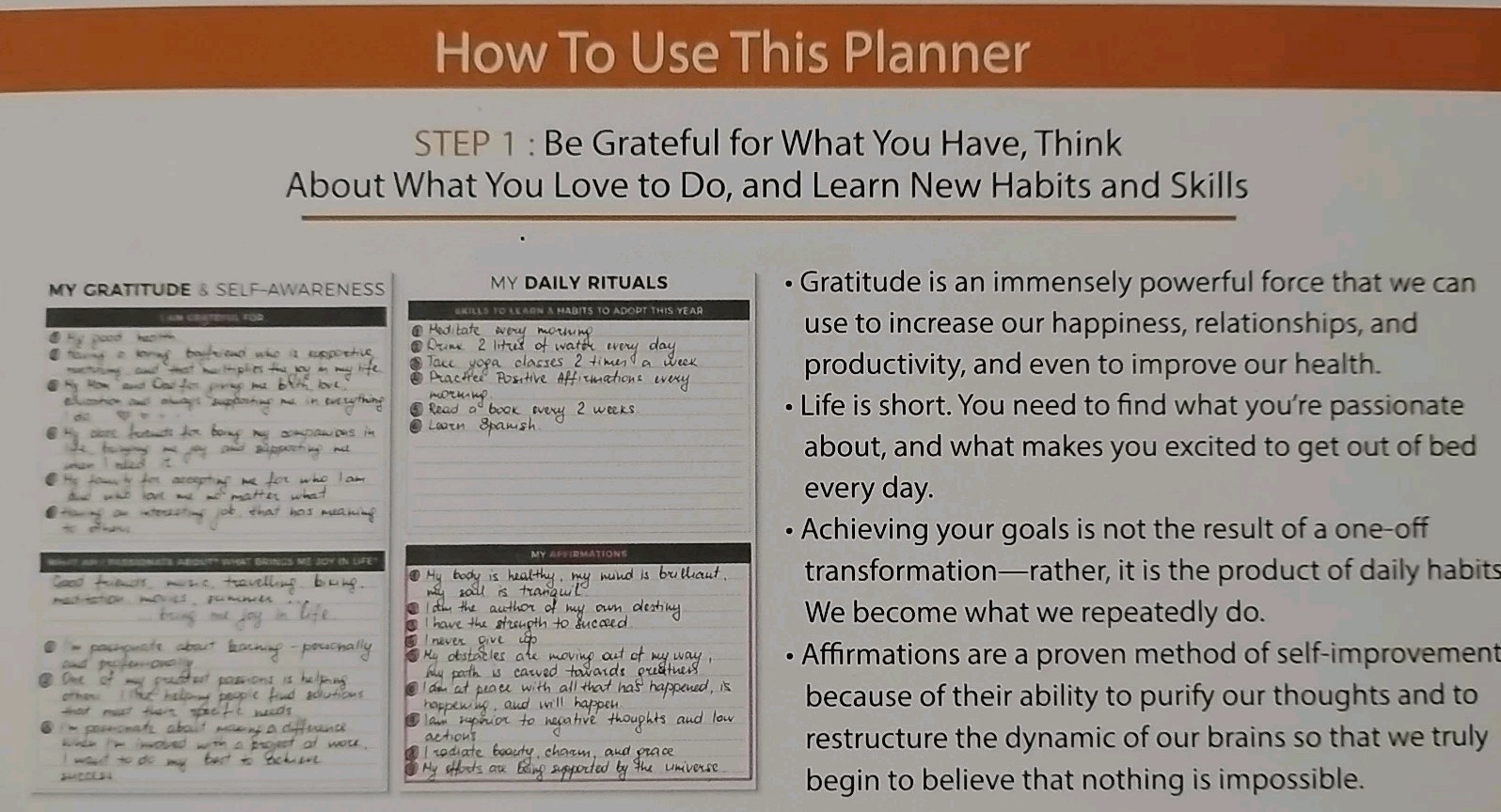 Clever Fox Weekly Planner Non-Dated Purple Organiser Scheduler Productivity NIB