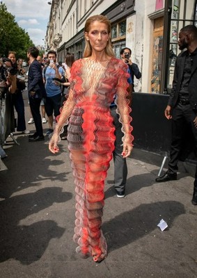 A4 Foto Céline Dion Kunstportrait Wandbild Poster Kunstdruck 13312