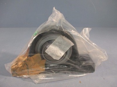 INA GG-ASE08 Two Bolt Pillow Block Housing, Ball Bearing 40mm Bore, Cast Iron