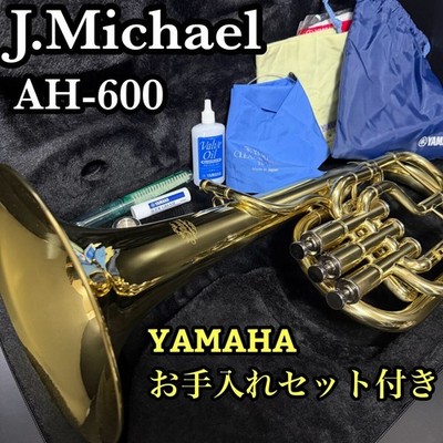 Good condition J.Michael Altohorn AH-600 Recommended for beginners Includes