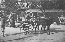 CPA ASIE INDE HINDOU UNE EKKA A CAWPORE