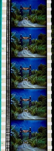 Jurassic Park 1993 Very Rare Unmounted 35mm Film Cells - Steven Spielberg - Picture 62 of 142