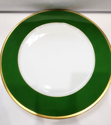 HAVILAND & PARLON ''Arc En Ciel Empire Green'' Service 11.75 AUTHORIZED DEALER
