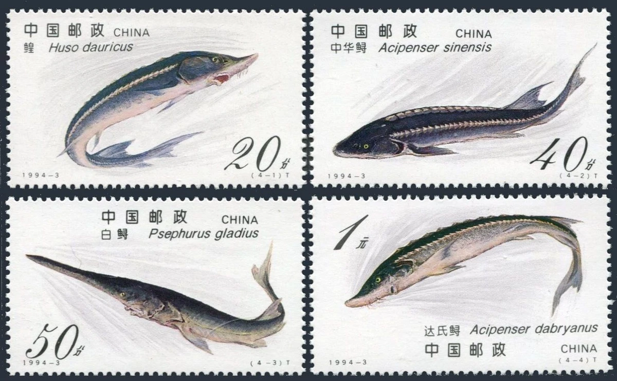 Mint Never Hinged/MNH Fish China Fish & Marine Life Postal Stamps