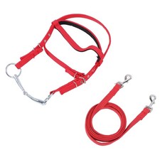 Horse Bridle Rein Nylon Stylish Adjustable Horse Bridle Headstall Equestrian