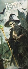 Skeleton Witch Halloween Door Cover 30x72 Halloween Sorcerer Door Cover Plastic