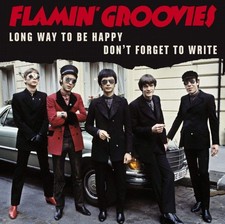 Flamin` Groovies Long Way to Be Happy (Video Game)