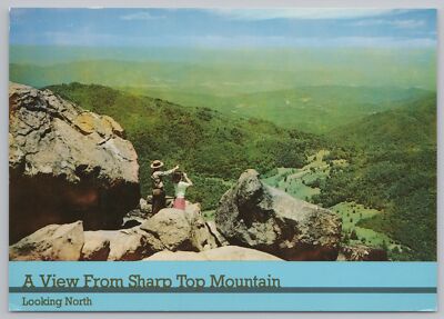 State View~View From Sharp Top Mountain Looking North~Continental Postcard