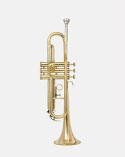 QUEENBRASS Bb Standard-Trumpet Brass Finish 3 Valves with Case and Mouthpiece,