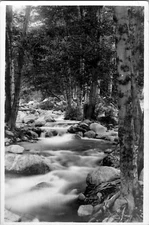Early Morning Fog Over River Nature Landscape Snapshot Real Photo Postcard RPPC