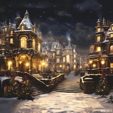 10'x10'Computer-painted Outdoor Winter Season Scenic background backdrop BHF1811