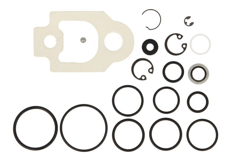 ✅Fits DELPHI DEL7135-277B Repair Kit, fuel pump DEL7135-277B Repair  ⭐UK Seller⭐