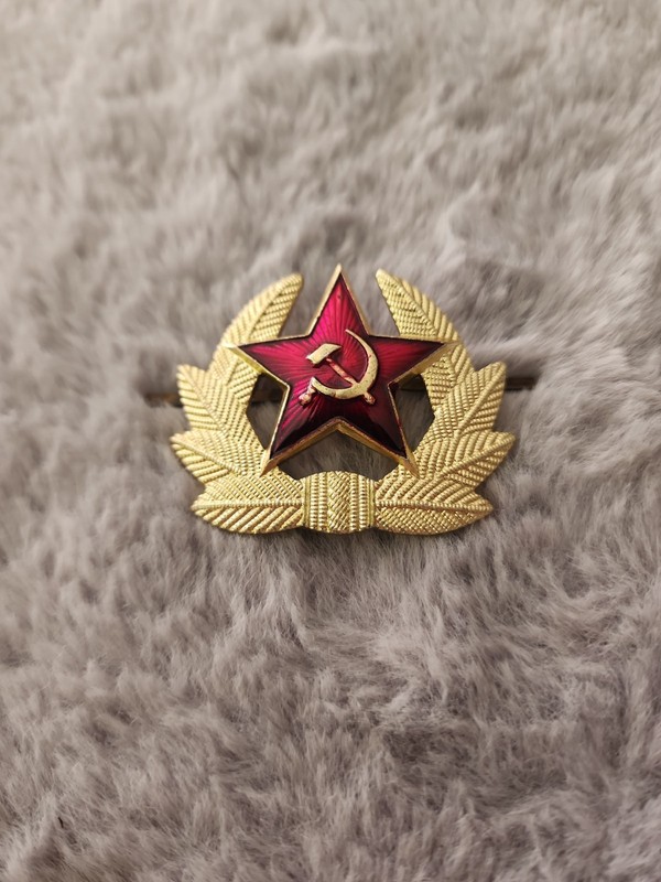 Vintage Original Soviet USSR Badge Pin  Military Insignia D73