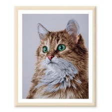 The Purrfect Stare Cross Stitch Kit by Lanarte