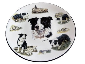 Border Collie Collector Plate Derek William Ward Limited Edition 808/9500 Bradex