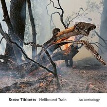 Hellbound Train von Tibbetts,Steve | CD | Zustand gut