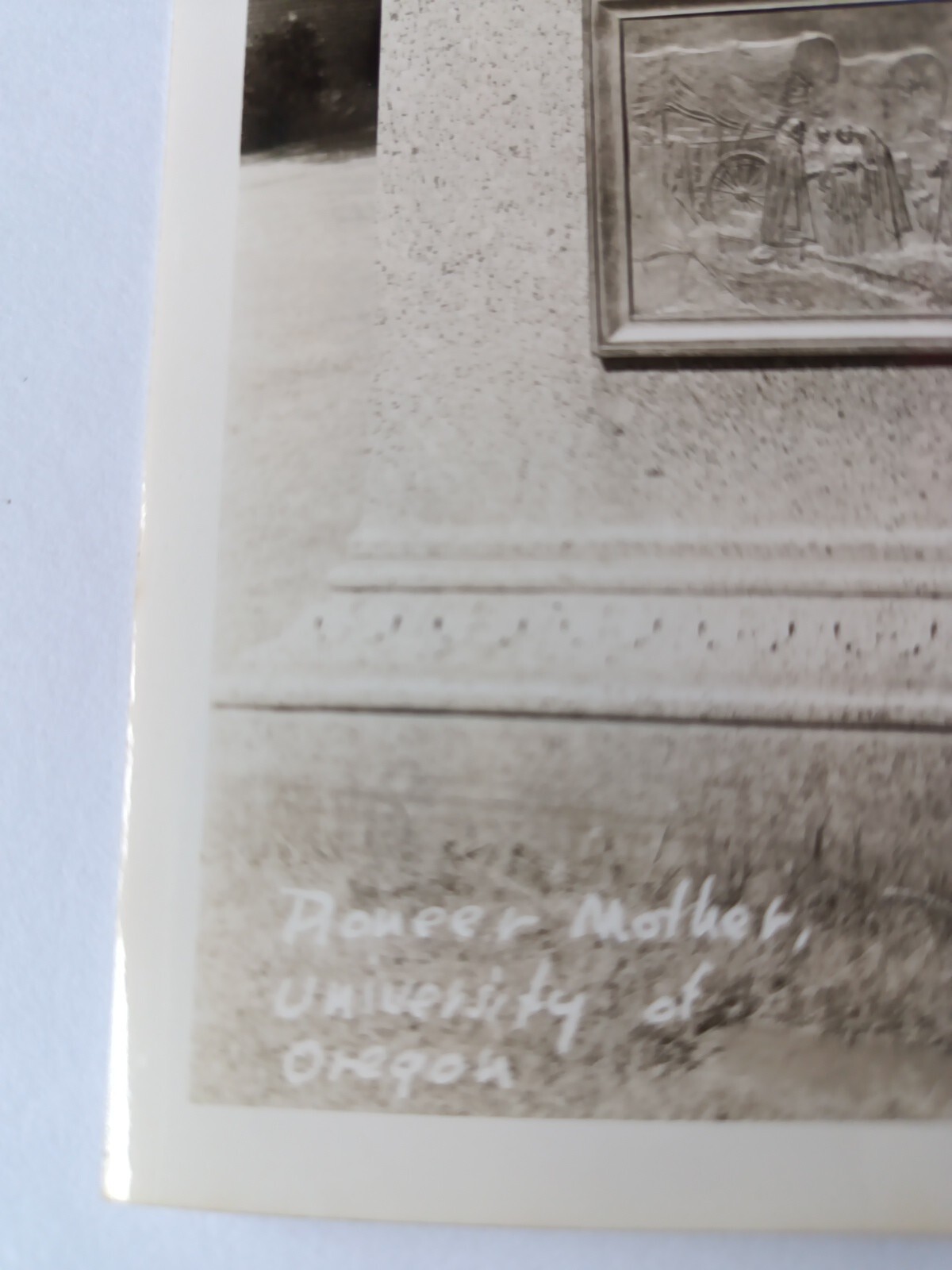 Vintage Postcard. Pioneer Mother, University Of Oregon. Eugene, Oregon