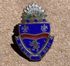 WW2 US Army Military 148th Infantry Regiment Distinctive Insignia Pin