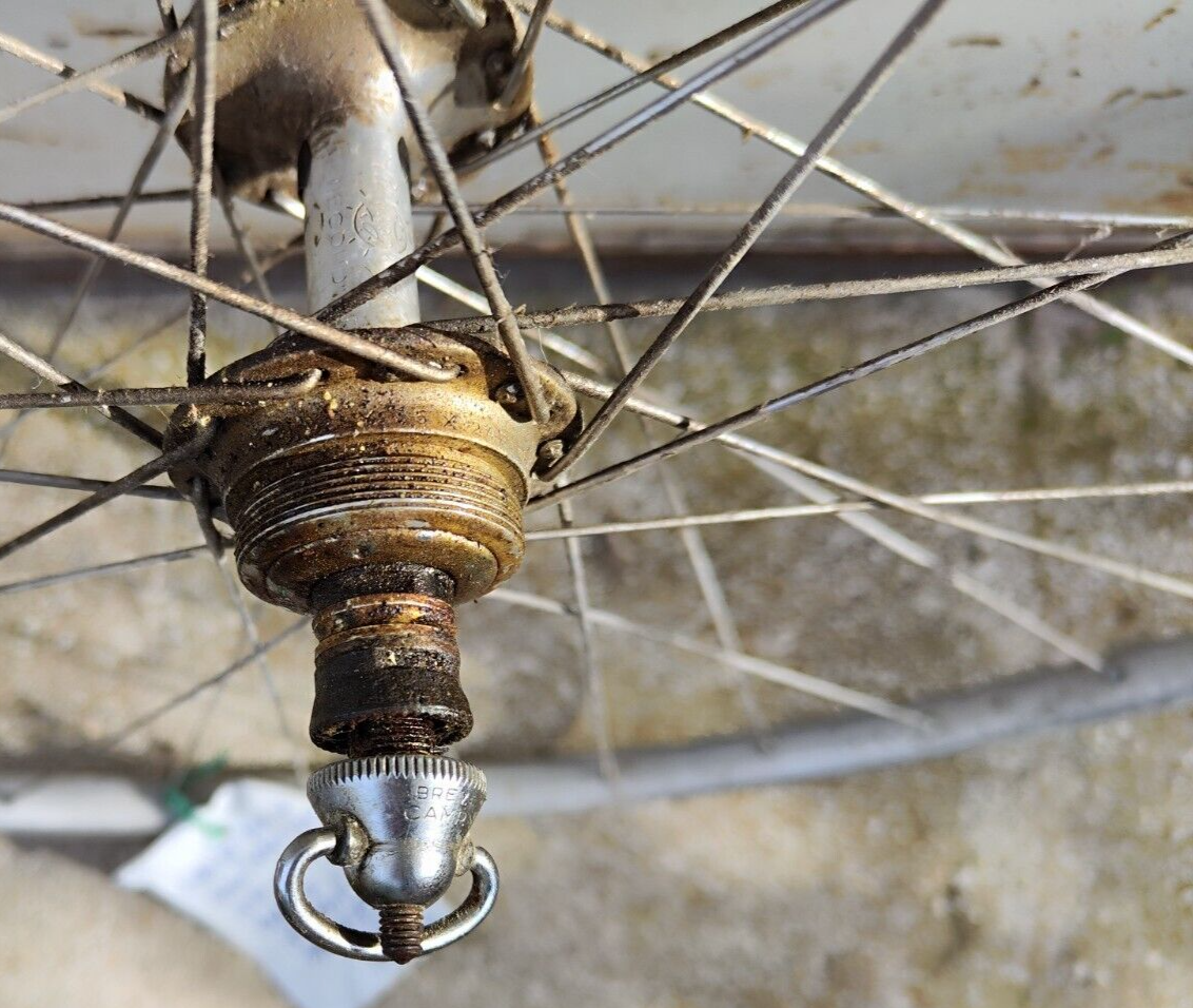 Roue Arrière Tubulaire Vintage – Jante Nisi 36 Trous – Moyeu Record – Pignon Regina Extra – Italie