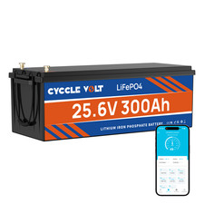 24V 300Ah LiFePO4 Lithium Battery 7.68Kw 200A BMS for Off Grid RV Solar