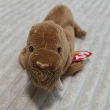 Ty Beanie Baby Paul The Walrus 1999 5th Generation Hang Tag