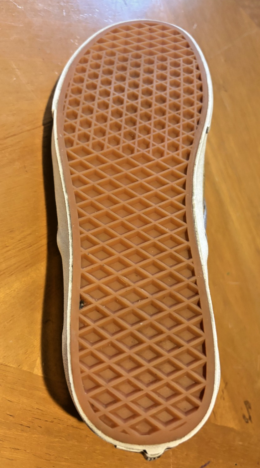 VANS X Vincent Van Gogh Museum Amsterdam Slip-On Skull Shoes M 11.5