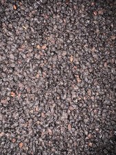 Elderberries 1 Pound 2 Packs