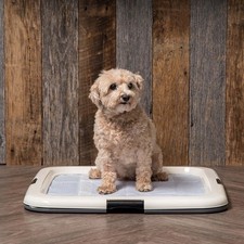 Puppy Pee Pad Holder for Dog Potty Training Holds Pads 22" x 23" Absorbent