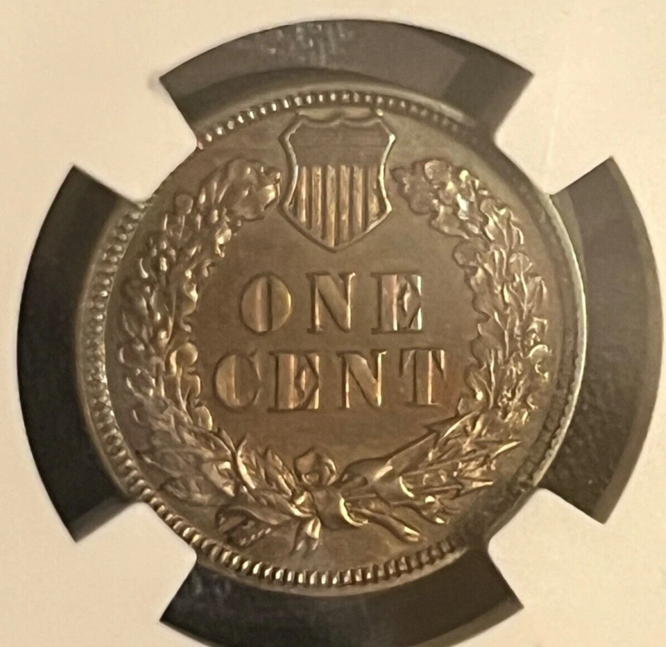 1888 Indian head cent , Choice Proof NGC - 63 , - Image 4 of 4