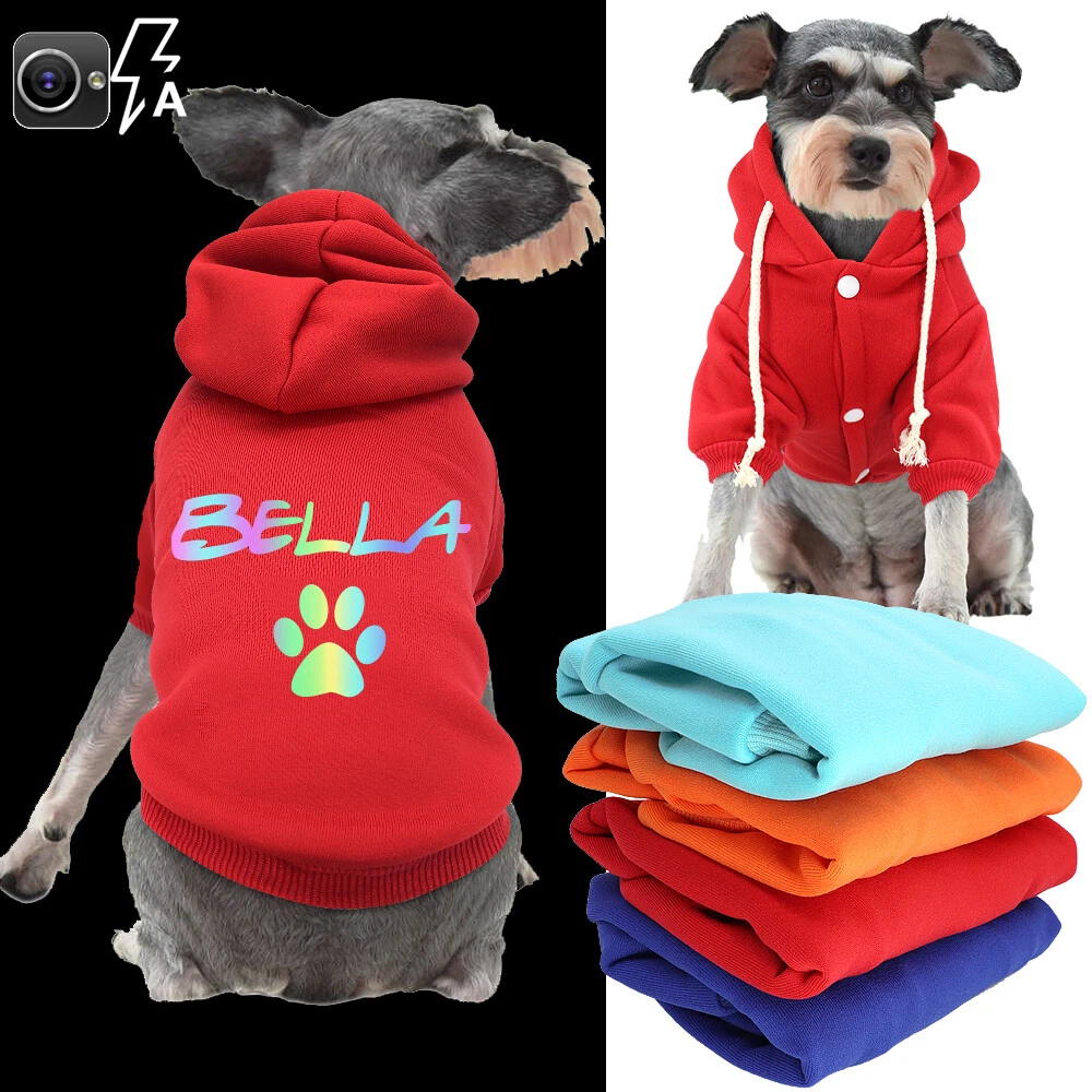 Best 2025 dog hoodies