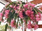 Foto 5 di 5