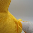 Bild 6 von 6