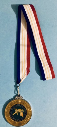 ‘97 Florida State TaeKwonDo Championship Medal SILVER 1997 - Picture 2 of 7